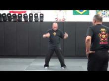 Embedded thumbnail for Sifu Wilfred and Sifu Julio on shifting